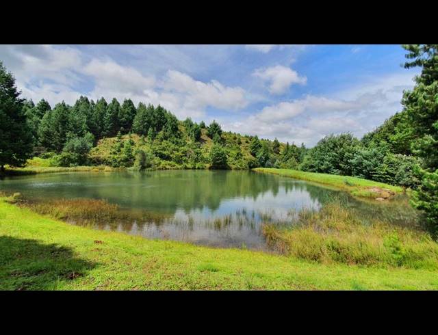 FARM FOR SALE IN KAMBURG